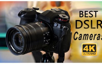 Top 5 BEST Budget DSLR Cameras