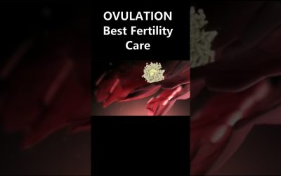 OVULATION / PREGNANCY/Best Gynaecologist Ahmedabad /Dr Dipti Jain / YouTube Shorts