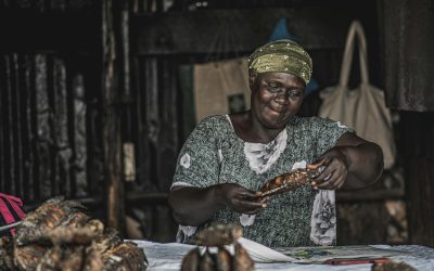 Kenya’s Economic Resilience: Navigating Growth Amid Global Challenges